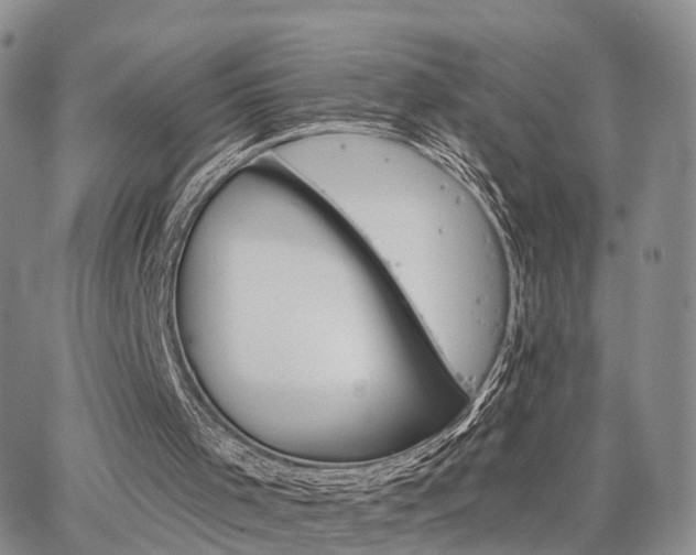 X0000063480001200601231358