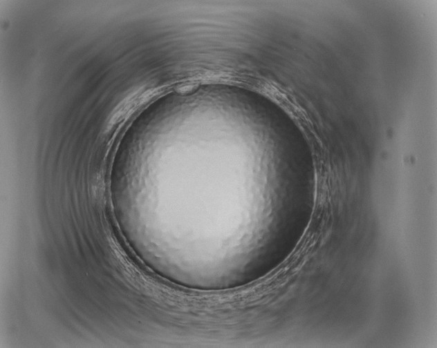 X0000063480002200601231358