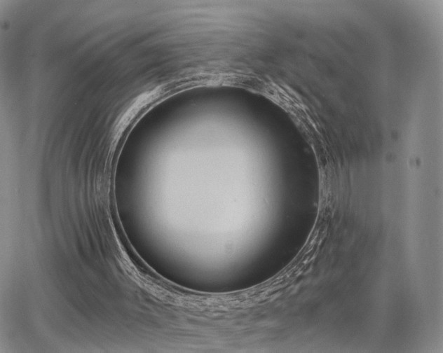 X0000063480003200601231358