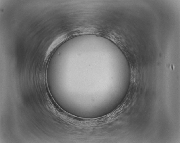 X0000063480004200601231358