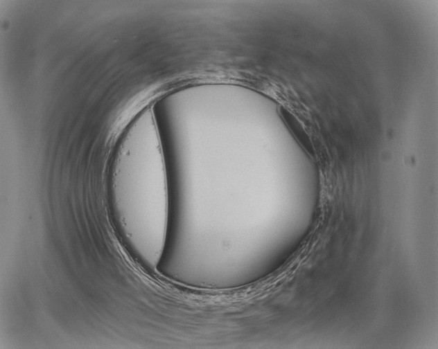 X0000063480005200601231358