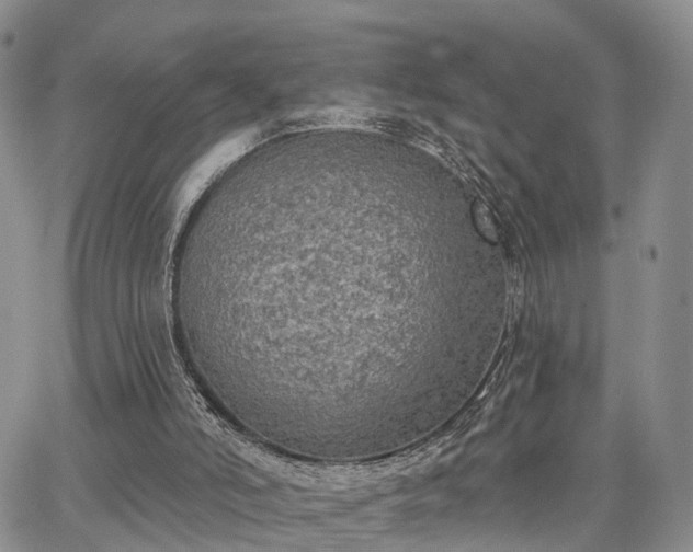 X0000063480006200601231358