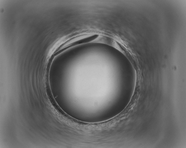 X0000063480007200601231358