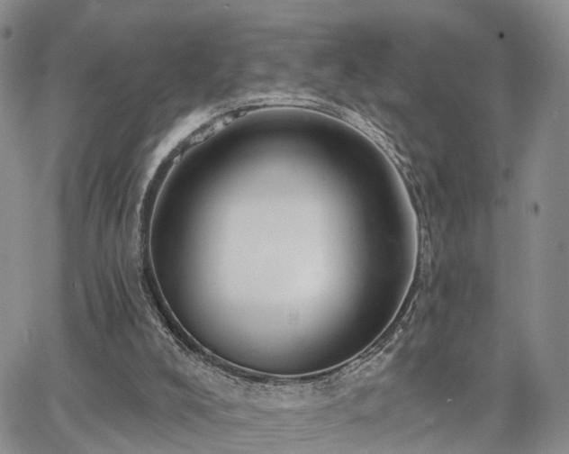 X0000063480008200601231358