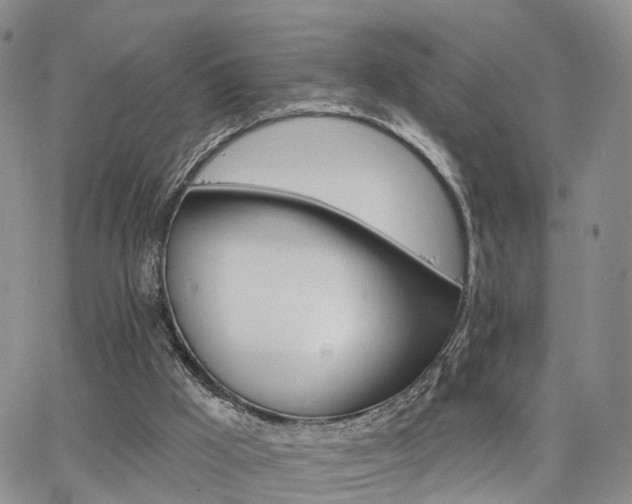 X0000063480009200601231358