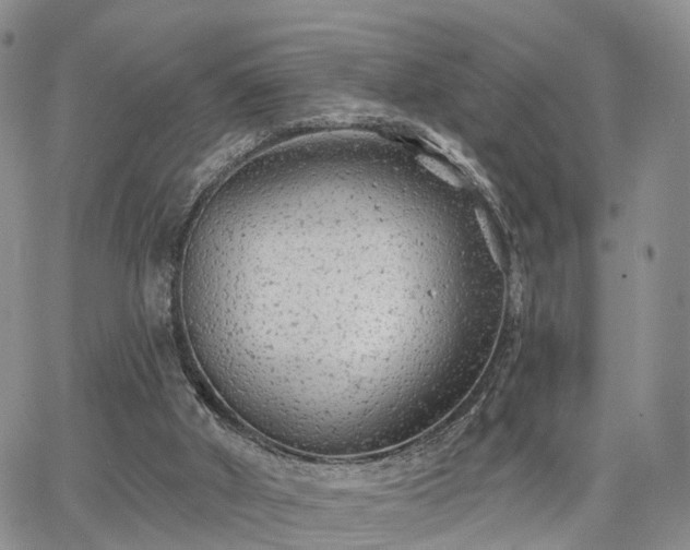 X0000063480010200601231358