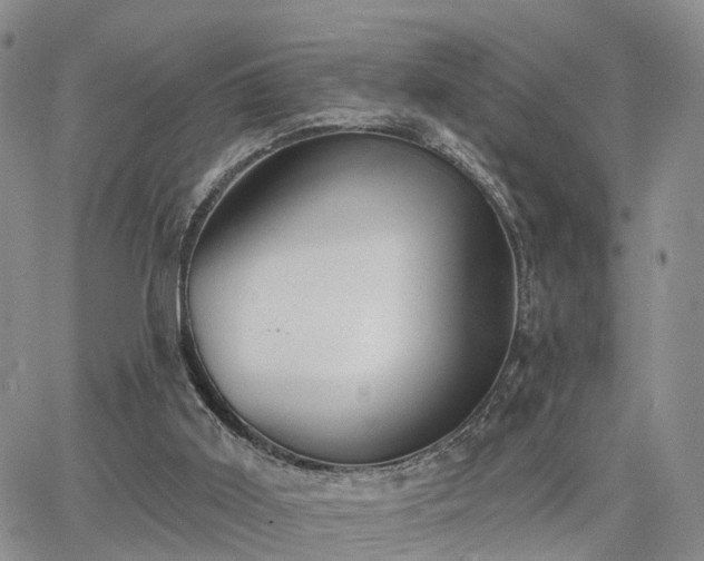 X0000063480011200601231358