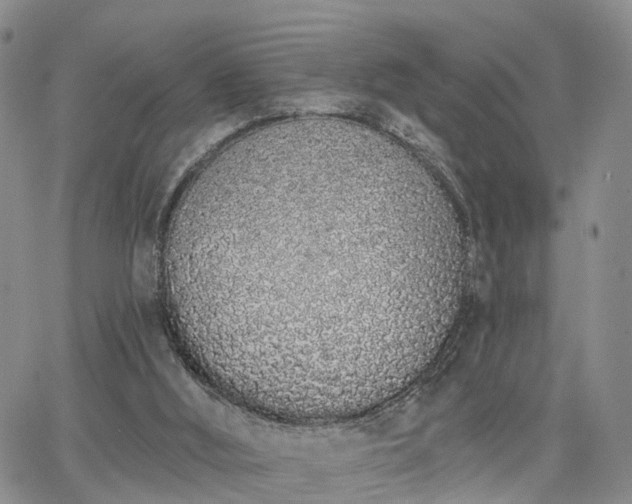 X0000063480012200601231358