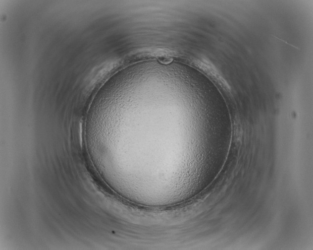 X0000063480014200601231358