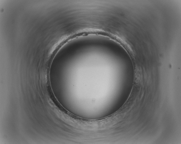 X0000063480015200601231358