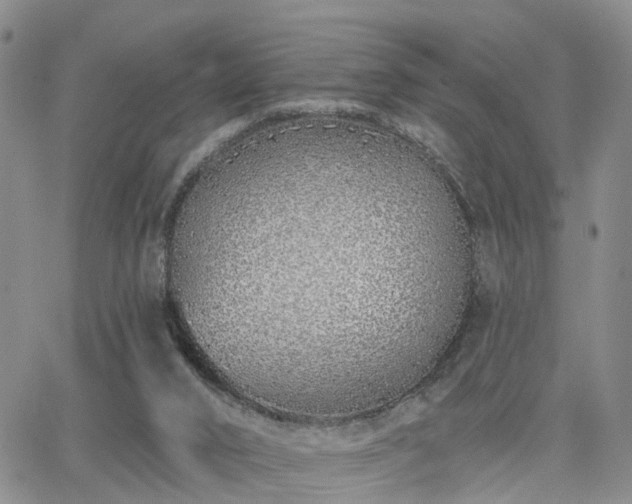 X0000063480016200601231358