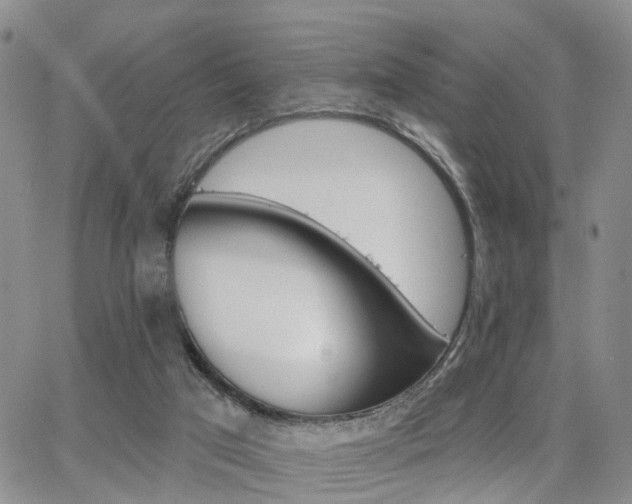 X0000063480017200601231358