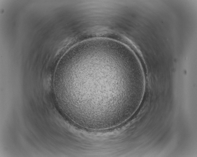 X0000063480018200601231358