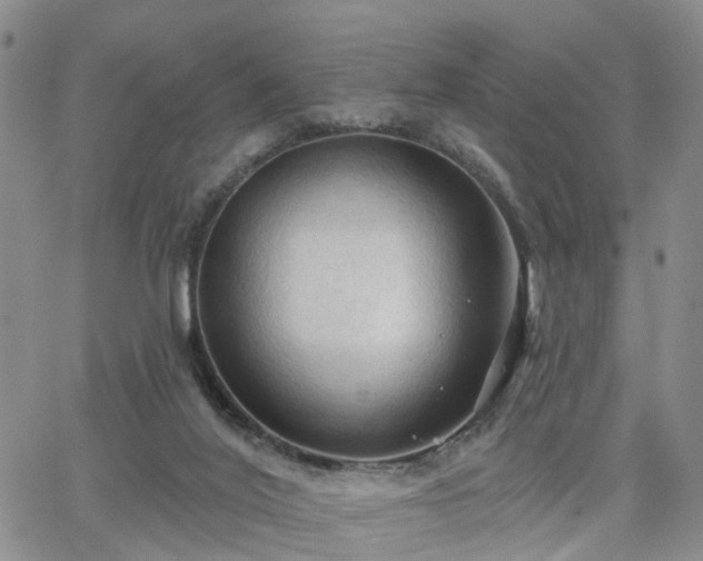 X0000063480020200601231358