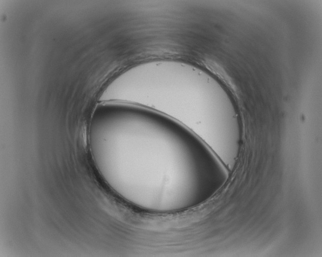 X0000063480021200601231358