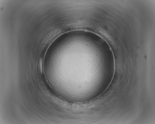 X0000063480022200601231358