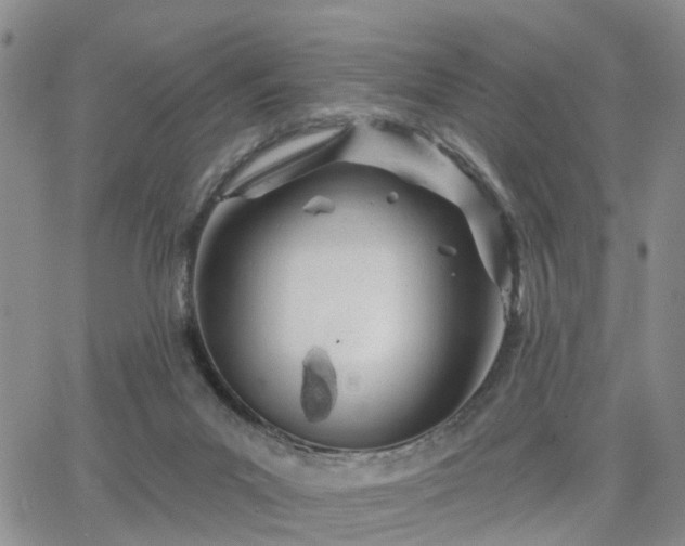 X0000063480023200601231358