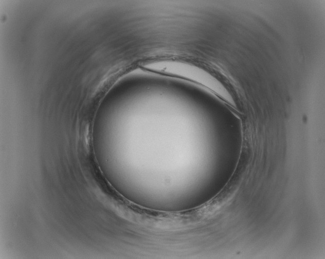 X0000063480024200601231358