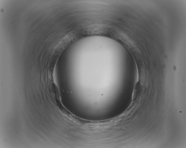 X0000063480025200601231358