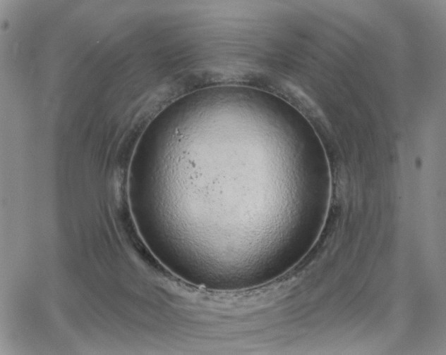 X0000063480026200601231358