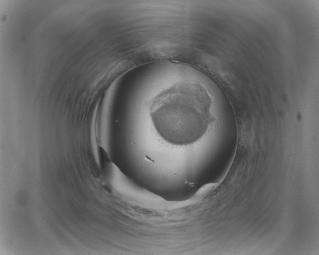 X0000063480027200601231358