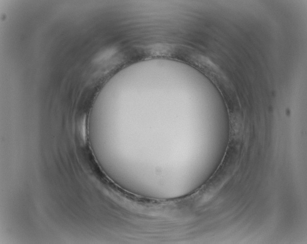 X0000063480028200601231358