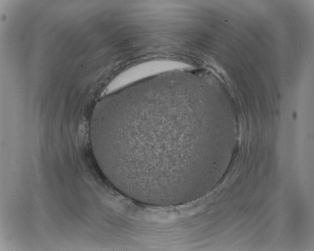 X0000063480029200601231358