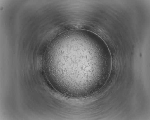 X0000063480030200601231358