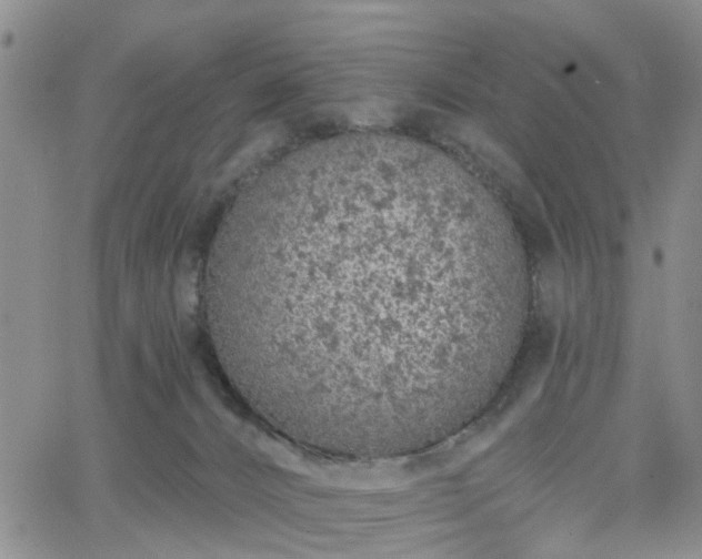 X0000063480032200601231358