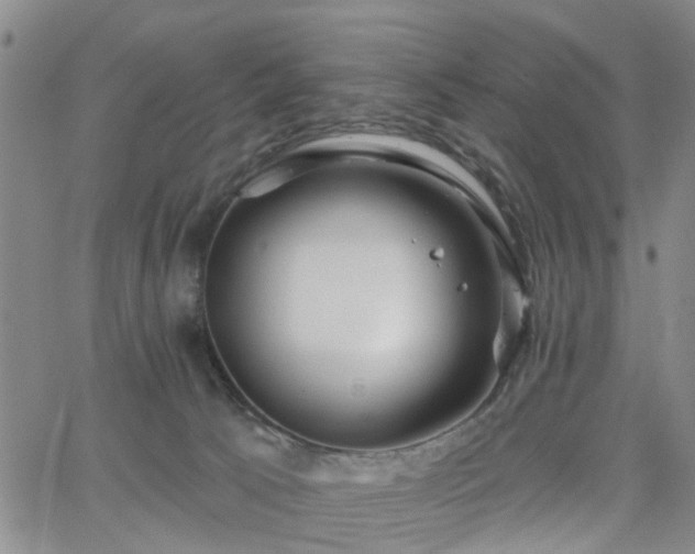 X0000063480033200601231358