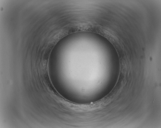 X0000063480034200601231358