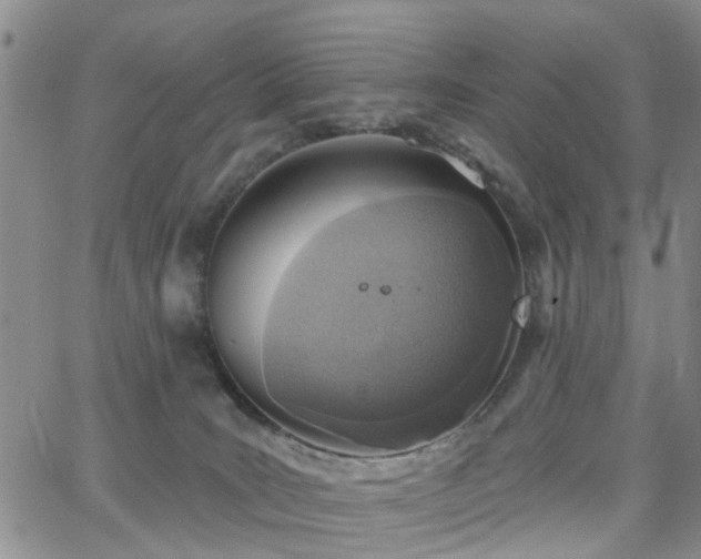 X0000063480035200601231358