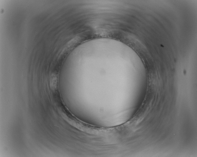 X0000063480036200601231358