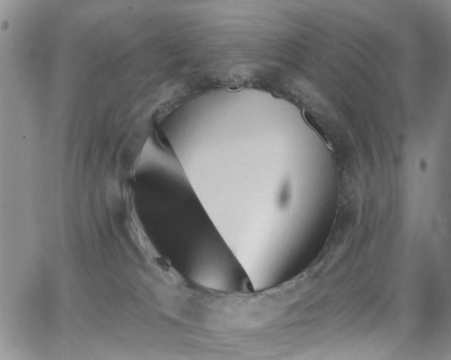 X0000063480037200601231358