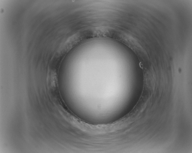 X0000063480038200601231358