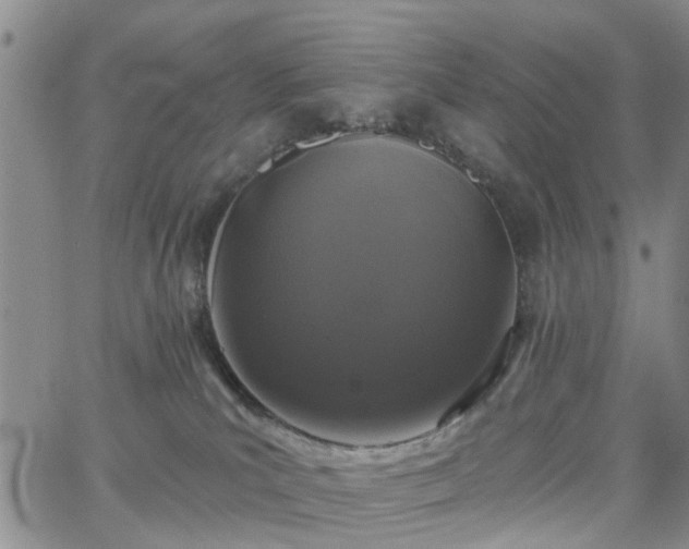 X0000063480039200601231358