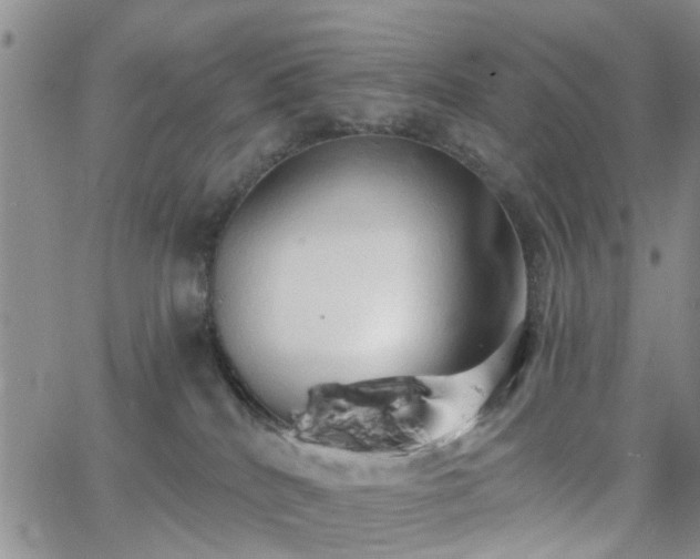 X0000063480040200601231358