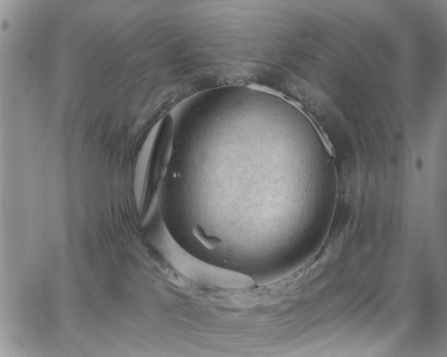 X0000063480041200601231358