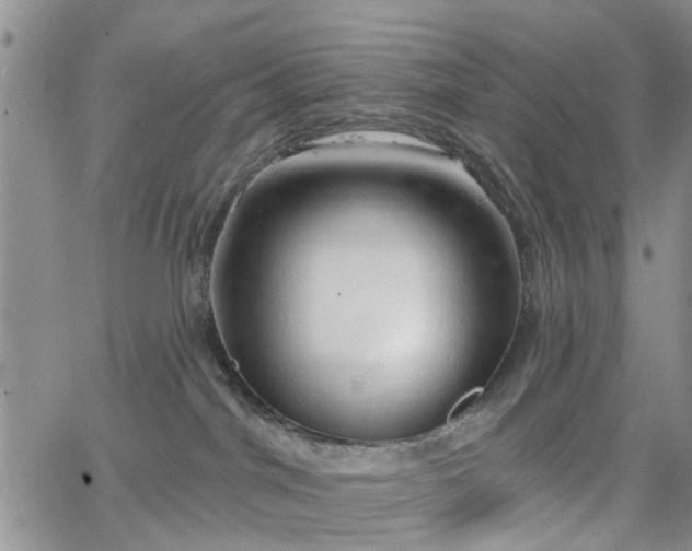 X0000063480044200601231358