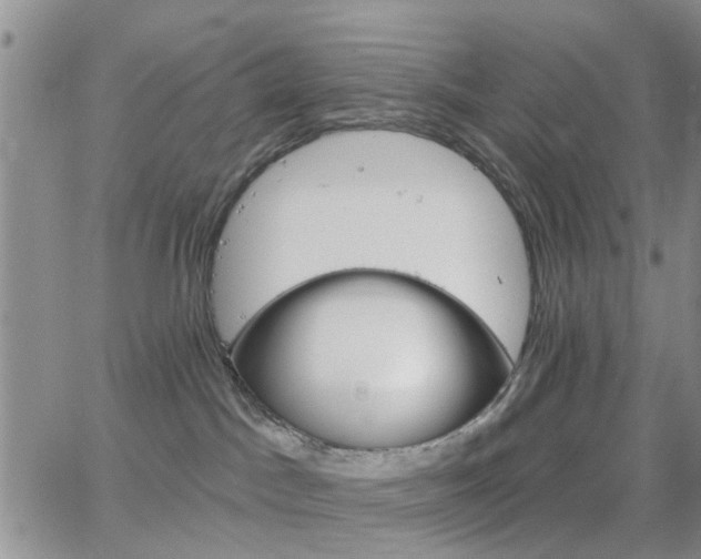 X0000063480045200601231358