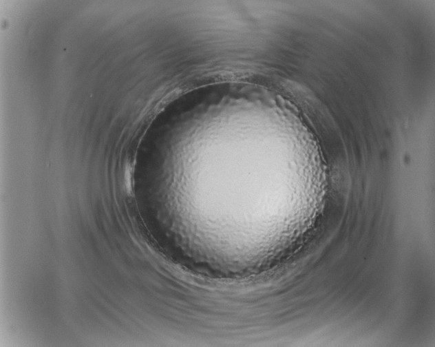 X0000063480046200601231358