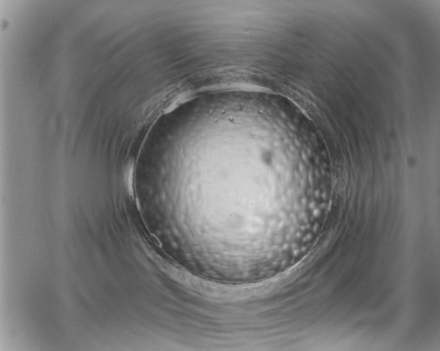 X0000063480047200601231358