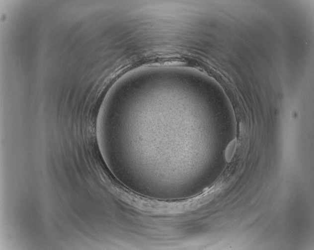 X0000063480048200601231358