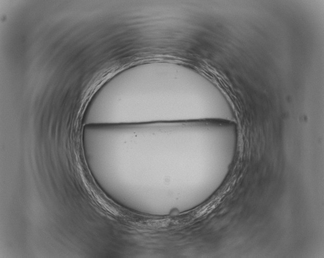 X0000063480049200601231357