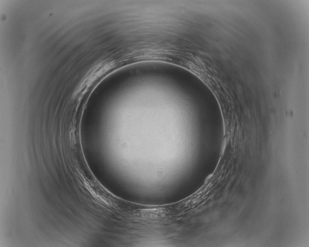 X0000063480050200601231357