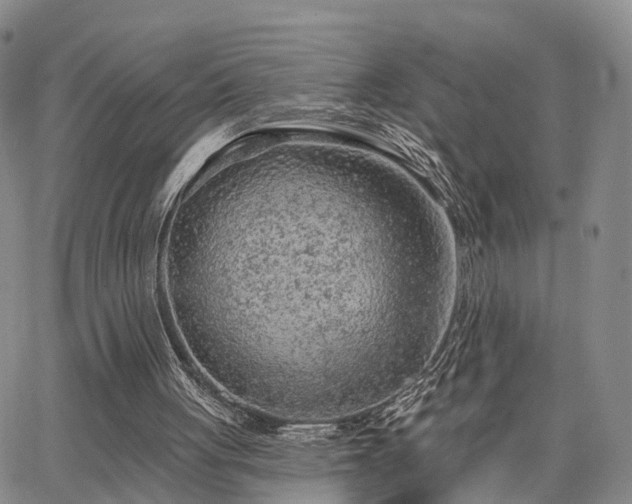 X0000063480051200601231357