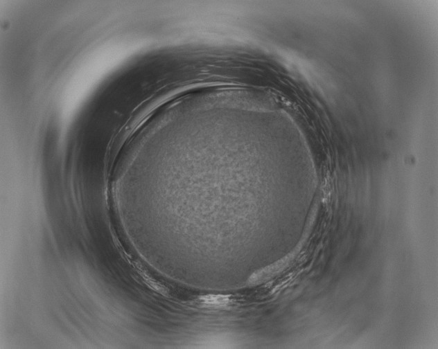 X0000063480052200601231357