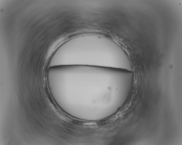 X0000063480053200601231357