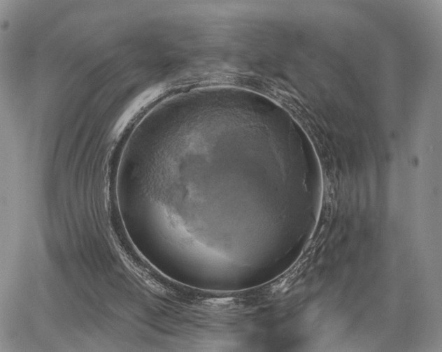 X0000063480054200601231357