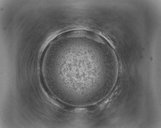 X0000063480055200601231357